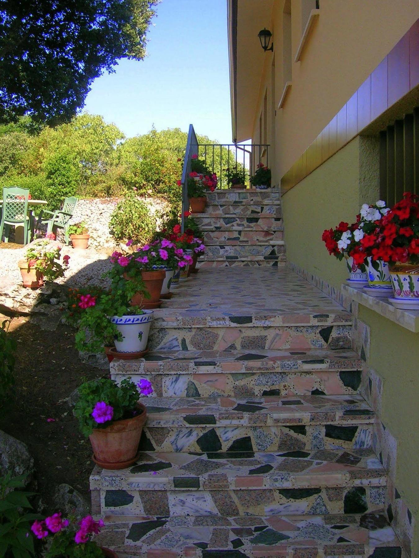 La Encina Celorio