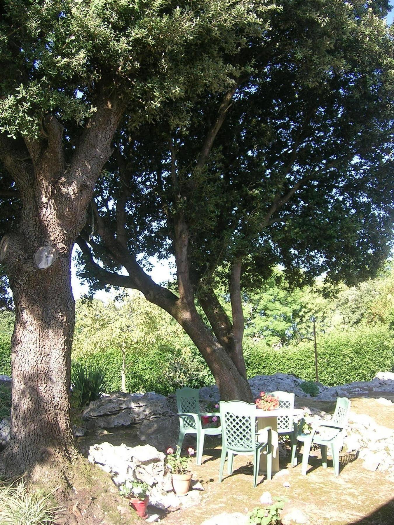 La Encina Celorio Hotel *