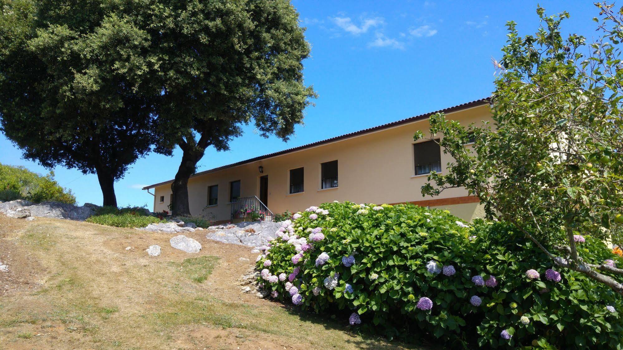La Encina Celorio Llanes